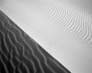 matt-artz-431943-unsplash